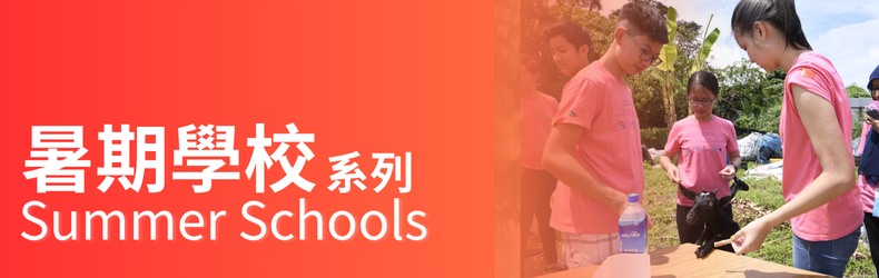 summer school 790x250